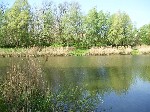 (31.) haldorado16.jpg