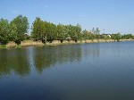 (30.) haldorado17.jpg