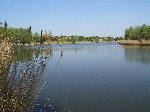 (28.) haldorado19.jpg