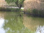(26.) haldorado20.jpg