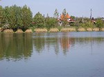 (24.) haldorado22.jpg