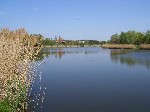(23.) haldorado23.jpg