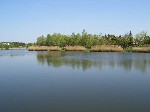 (22.) haldorado24.jpg