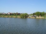 (19.) haldorado27.jpg