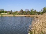 (18.) haldorado28.jpg