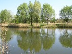 (27.) haldorado2.jpg
