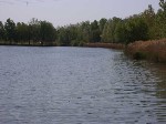 (15.) haldorado30.jpg