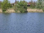 (11.) haldorado34.jpg