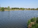 (10.) haldorado35.jpg
