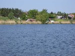 (9.) haldorado36.jpg
