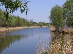 (4.) haldorado40.jpg